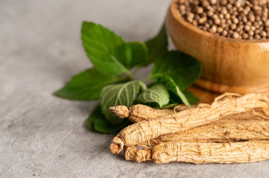 Byliny – indický ženšen – ashwagandha